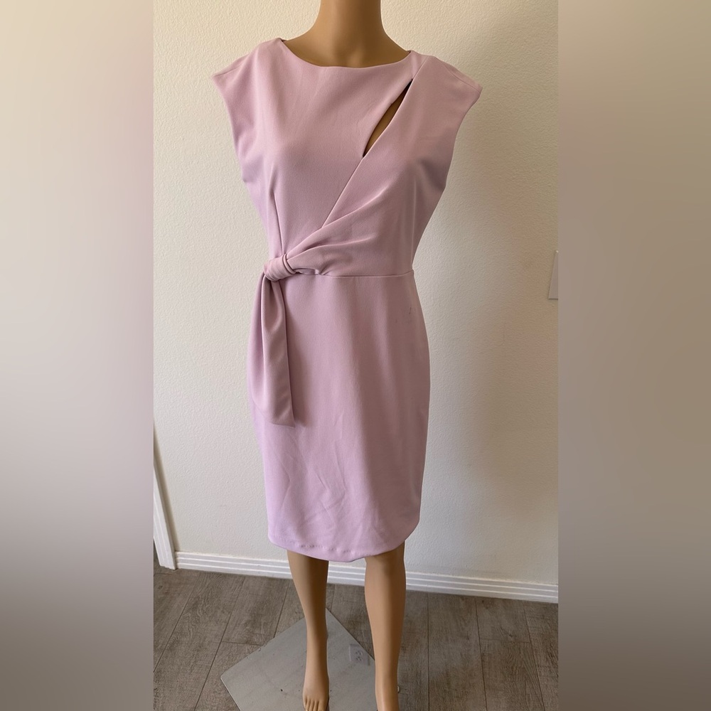 Calvin Klein Collection Soft Pink Midi Dress